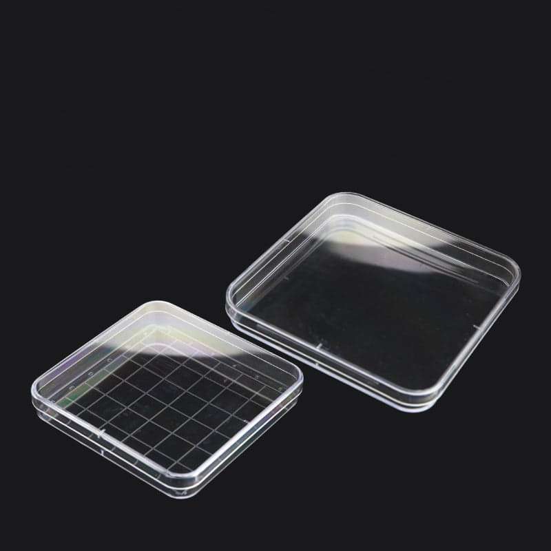 Petri-dish-square-plastic-PS-with-grid-10-units-pack-1-1.jpg Petri Dish Square, Plastic PS, with Grid, 10 Units/Pack